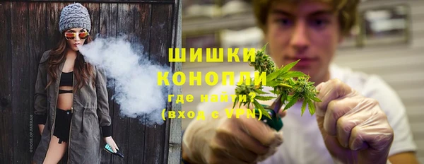 молекула духа Арсеньев