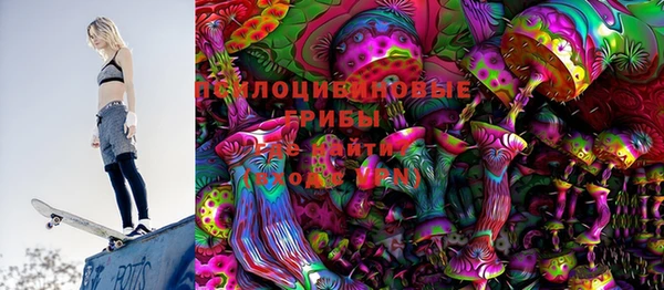 молекула духа Арсеньев
