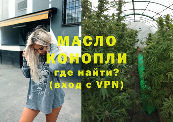 молекула духа Арсеньев