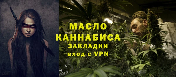 молекула духа Арсеньев
