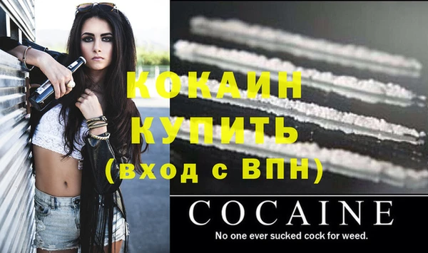 молекула духа Арсеньев