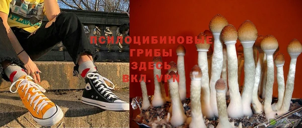 молекула духа Арсеньев