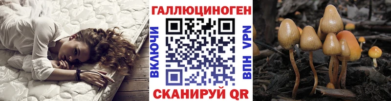 Галлюциногенные грибы Magic Shrooms  Бабаево 